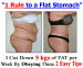 Fat Burning Furnace